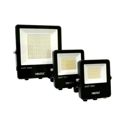 Wielofunkcyjny naświetlacz LED SHOT 100W CAMELEON