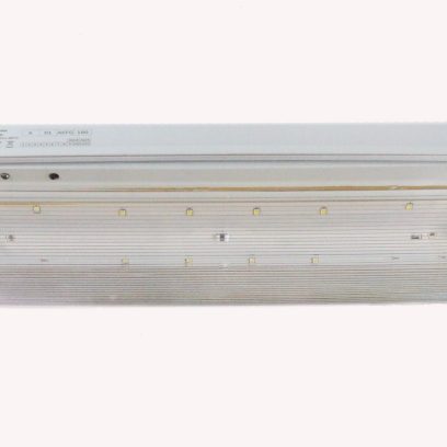 Oprawa awaryjna 220-240V 50Hz IP65 3W 140 lm 3h ESCAPE AUTO