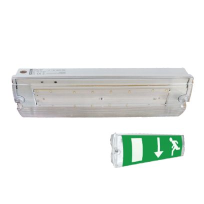 Oprawa awaryjna 220-240V 50Hz IP65 3W 140 lm 3h ESCAPE AUTO